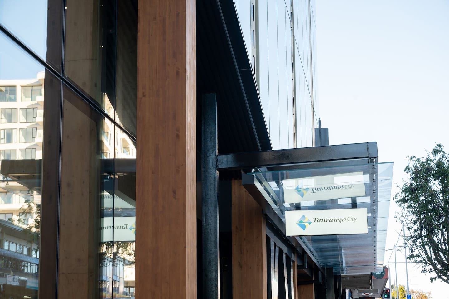 Tauranga City Council issued a five-year ownership disqualification to the dog’s owner. Photo / Brydie Thompson