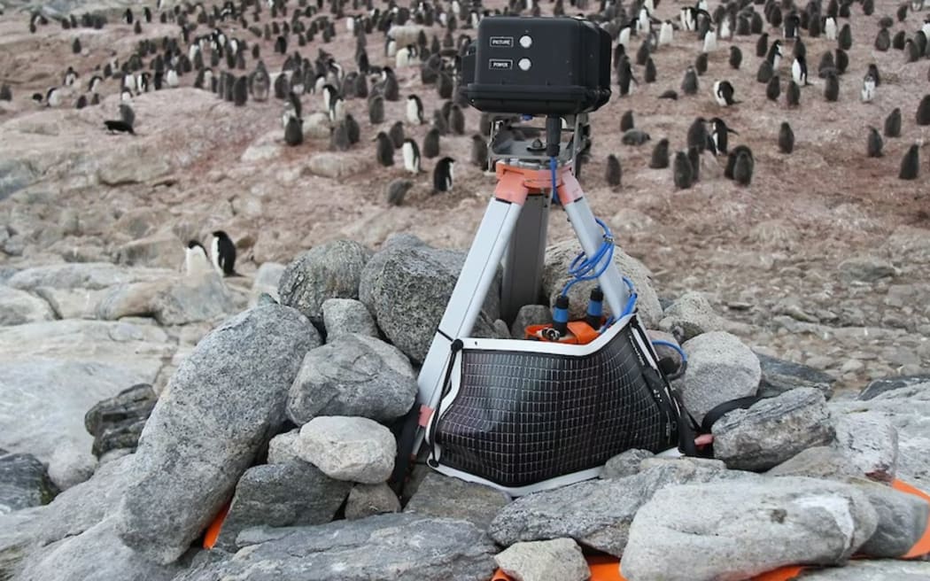 The team also has a network of about 50 nest-monitoring cameras