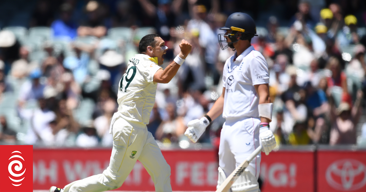 The Ashes live: Australia v England - fourth test, day two