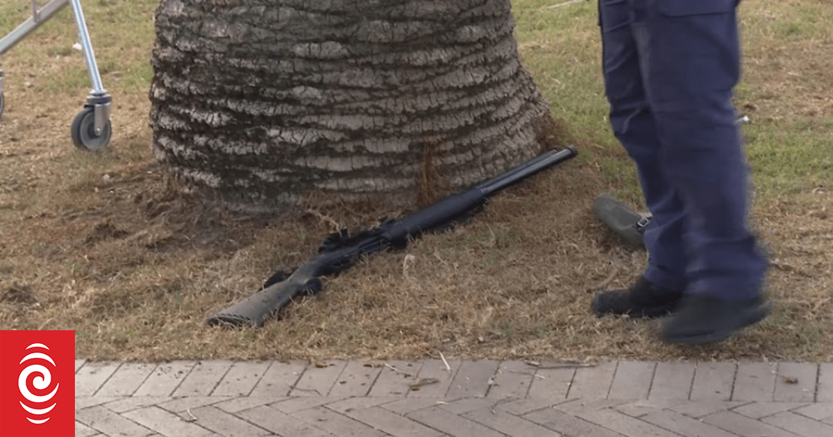 How Bondi shooters gained access to now-banned guns