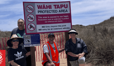 'Devastating in all ways': Sand dune ecosystems on Tokerau Beach being destroyed by vehicles