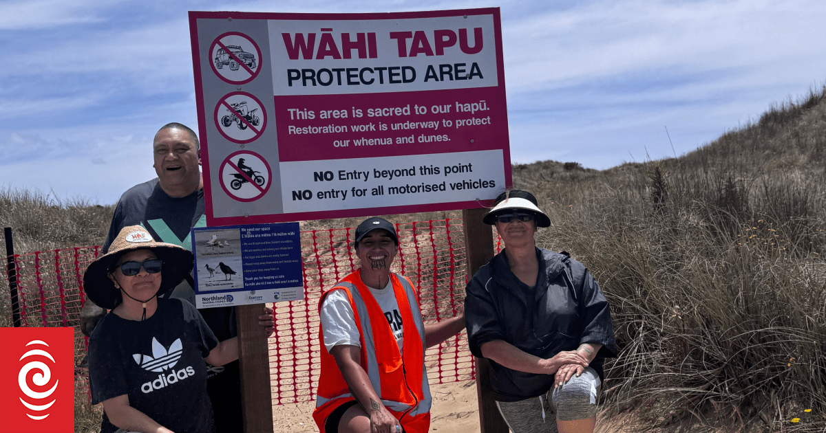 'Devastating in all ways': Sand dune ecosystems on Tokerau Beach being destroyed by vehicles