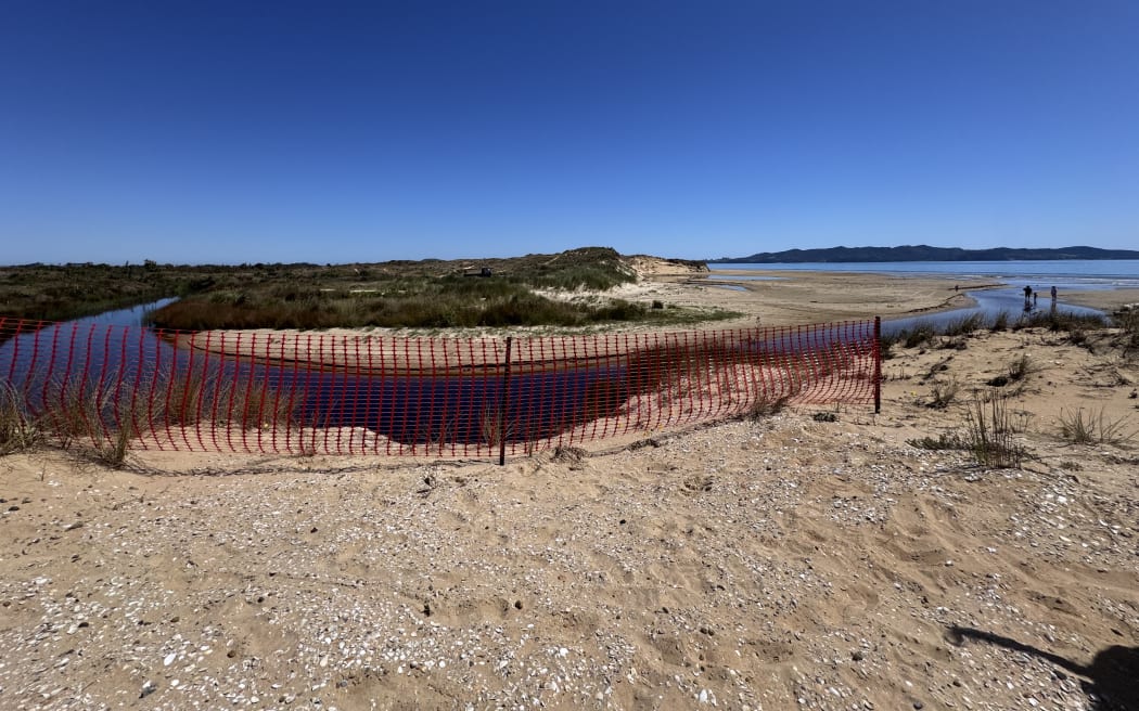Temporary fencing to protect sand dunes