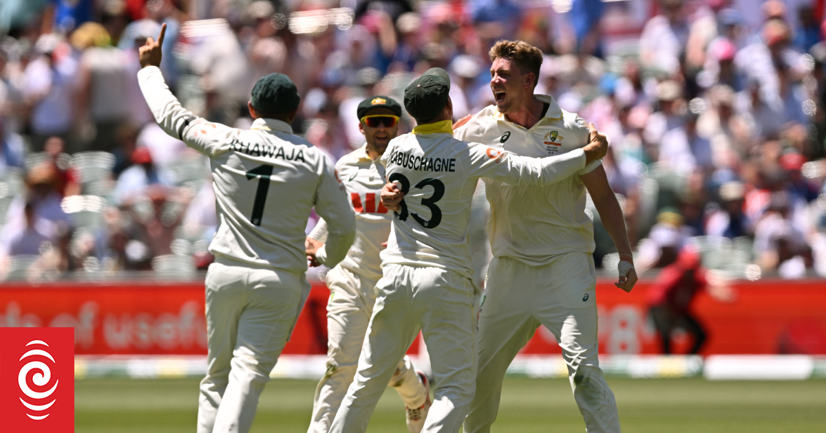 The Ashes live: Australia v England - third test, day two