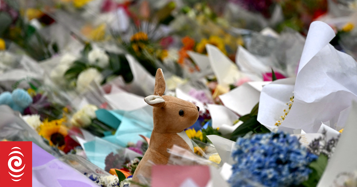 Alleged Bondi Beach shooter Naveed Akram charged by NSW Police over terrorist attack