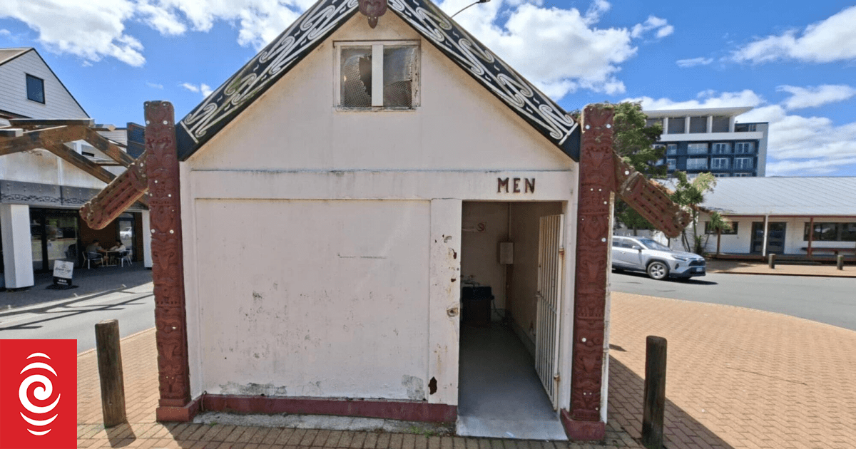 'Take a mask': Rotorua tourist toilets not up to standard