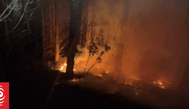 Forest fire near Whanganui spreads to more than 100 hectares