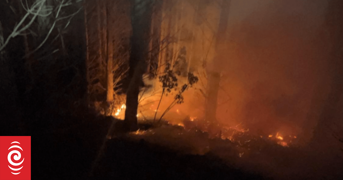 Forest fire near Whanganui spreads to more than 100 hectares