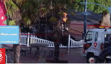 Timaru's Christmas tree set on fire, won't be replaced