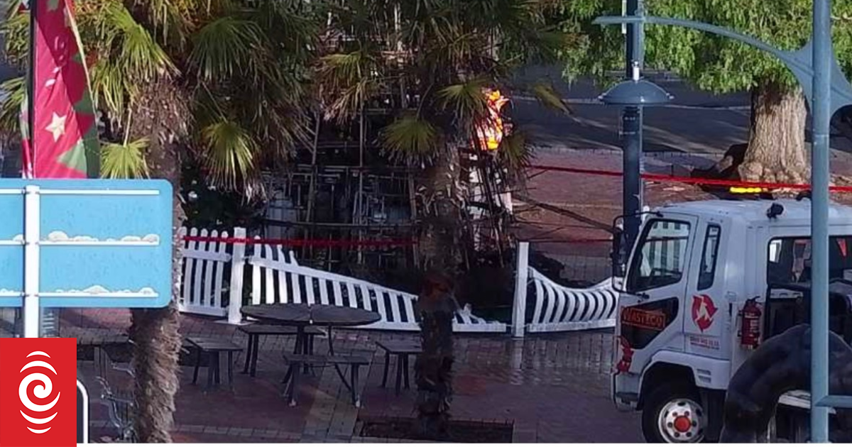 Timaru's Christmas tree set on fire, won't be replaced