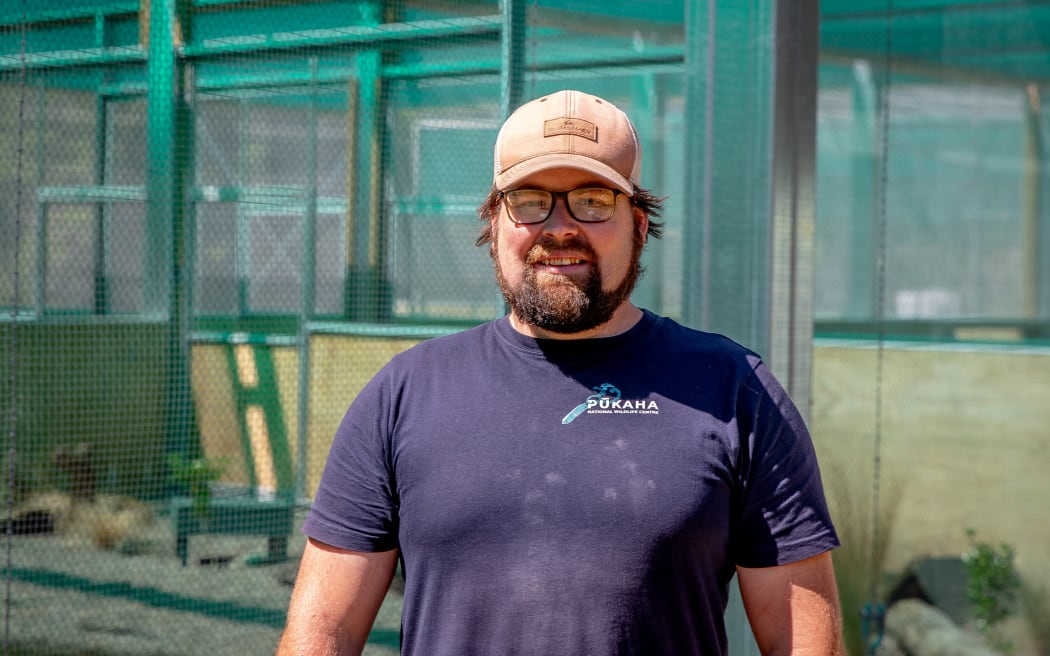 tūturuatu shore plover