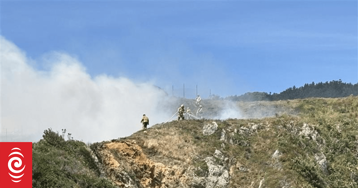 Fire sends smoke billowing near Wellington Airport