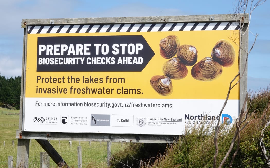 A gold clam billboard on the way to Kai Iwi Lakes.