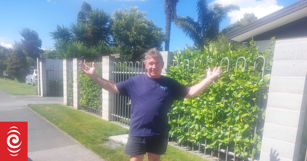 Hastings is getting 180 new bus stops - not everyone’s happy