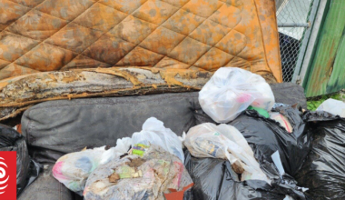 Gisborne flytipping surges nearly 55% - and it's being dumped at a surprising location