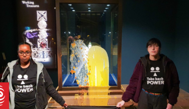 Crown Jewels protest turns to custard as Kiwi cop makes arrests