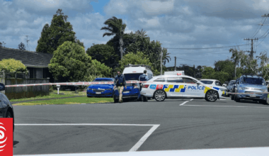 Man dies after stabbing in Mt Wellington; homicide investigation launched