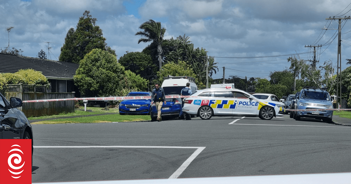 Man dies after stabbing in Mt Wellington; homicide investigation launched
