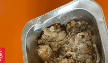 Food safety authority doubles down on mouldy lunches being school's fault