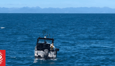 Boat spotted fishing in marine reserve