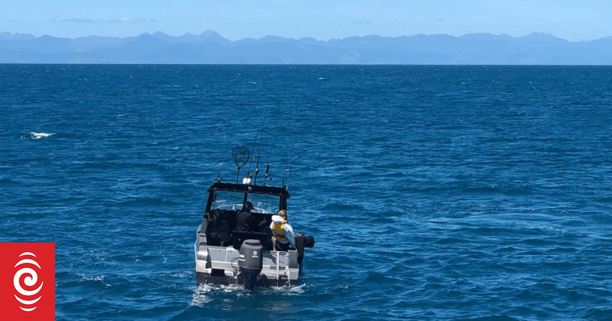 Boat spotted fishing in marine reserve
