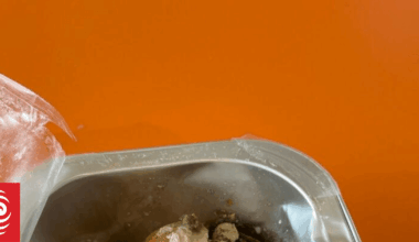 Food poisoning warning after Christchurch students eat contaminated school lunches