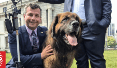 Parliament picnic marks beginning of pet bonds