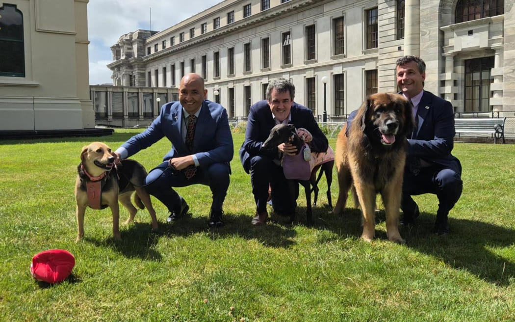 Ministers have hosted a pet picnic at Parliament to mark the beginning of new 'pet bond' rules for renters. 
Tama Potaka, Chris Bishop and David Seymour.