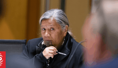 Mariameno Kapa-Kingi reinstated as a member of Te Pāti Māori in interim High Court ruling