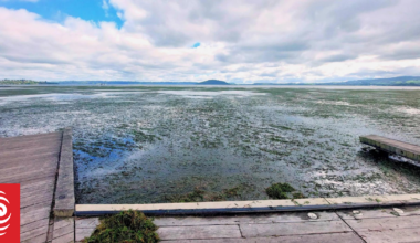 'Nowhere near enough': 780-tonne lake weed disaster lays bare Rotorua’s funding gap