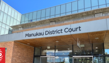 Judge deciding whether Papatoetoe will face rare by-election