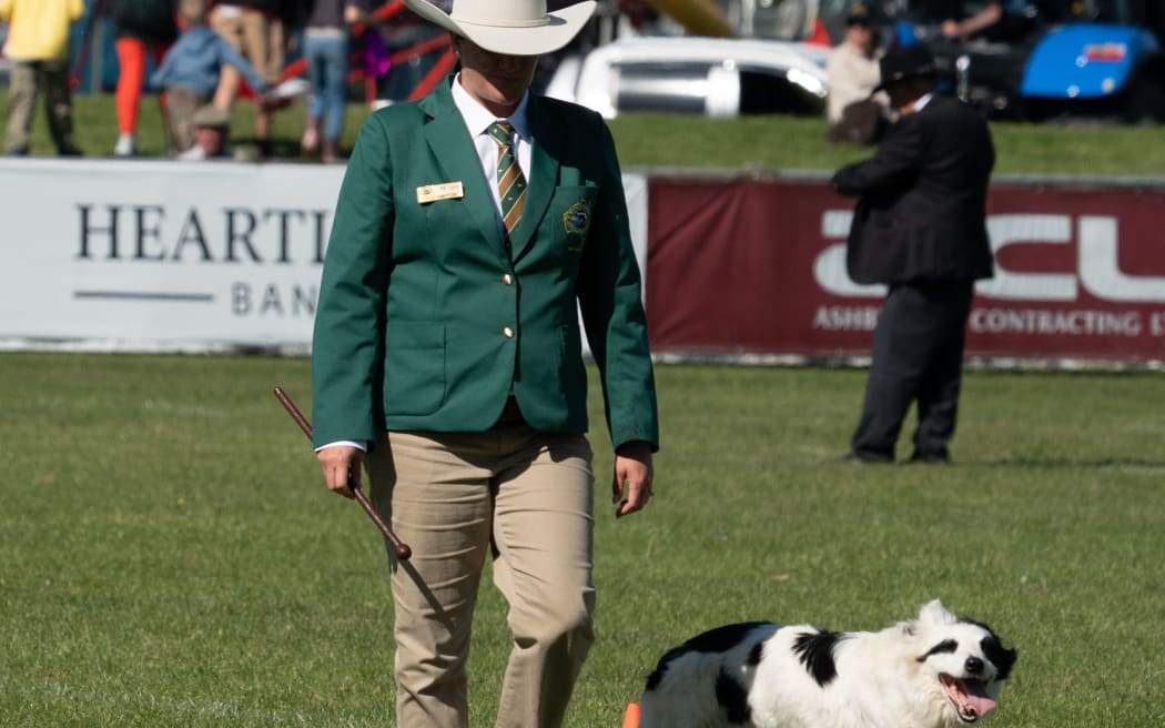 Jessica Kimpton competing with Stitch in Wayleggo Cup - the Test between New Zealand and Australia at Ashburton