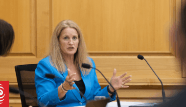 Minister seeks advice as Supreme Court decision rules two carers are government employees