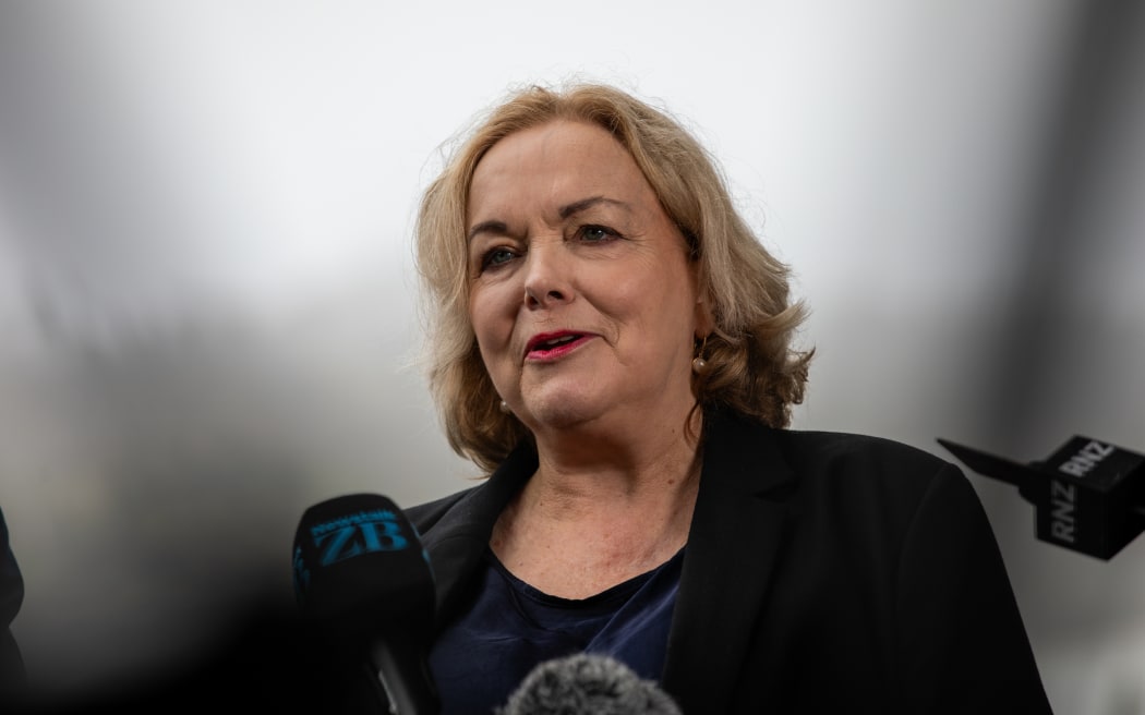 Judith Collins defence strategy launch