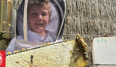 Meet Auckland's 11-year-old beekeeper keeping the community sweet