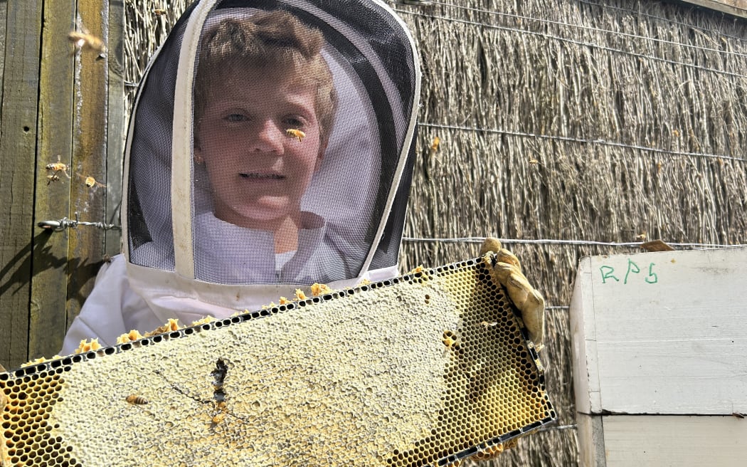 Picture depicts a child beekeeper, holding a tray of beehives.