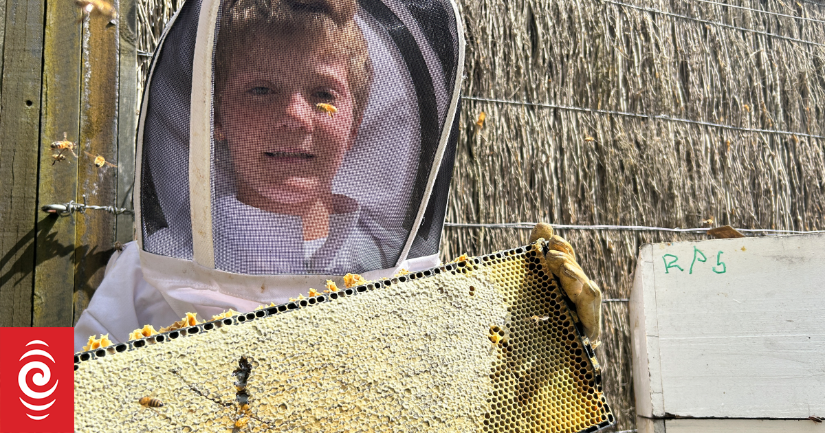 Meet Auckland's 11-year-old beekeeper keeping the community sweet