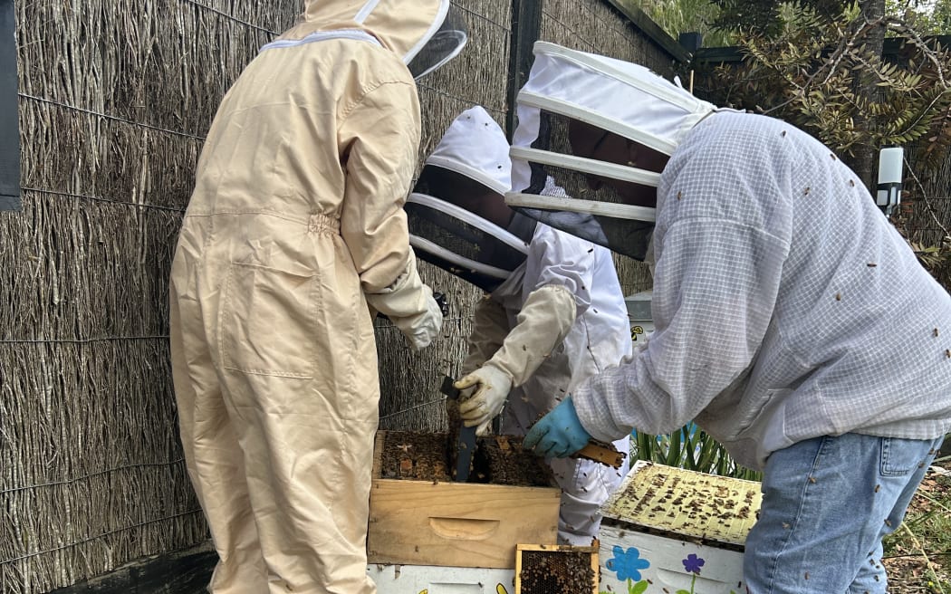 Picture depicts a child beekeeper, holding a small jar of honey and with his back to the camera.