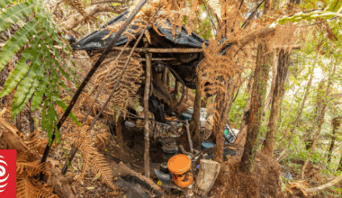 Tom Phillips injunction hearing concludes at Hamilton High Court