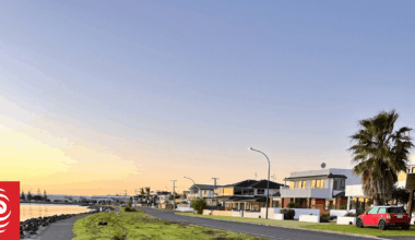 Stray dogs and berms: The biggest bugbears of suburbia, and why they make us so mad