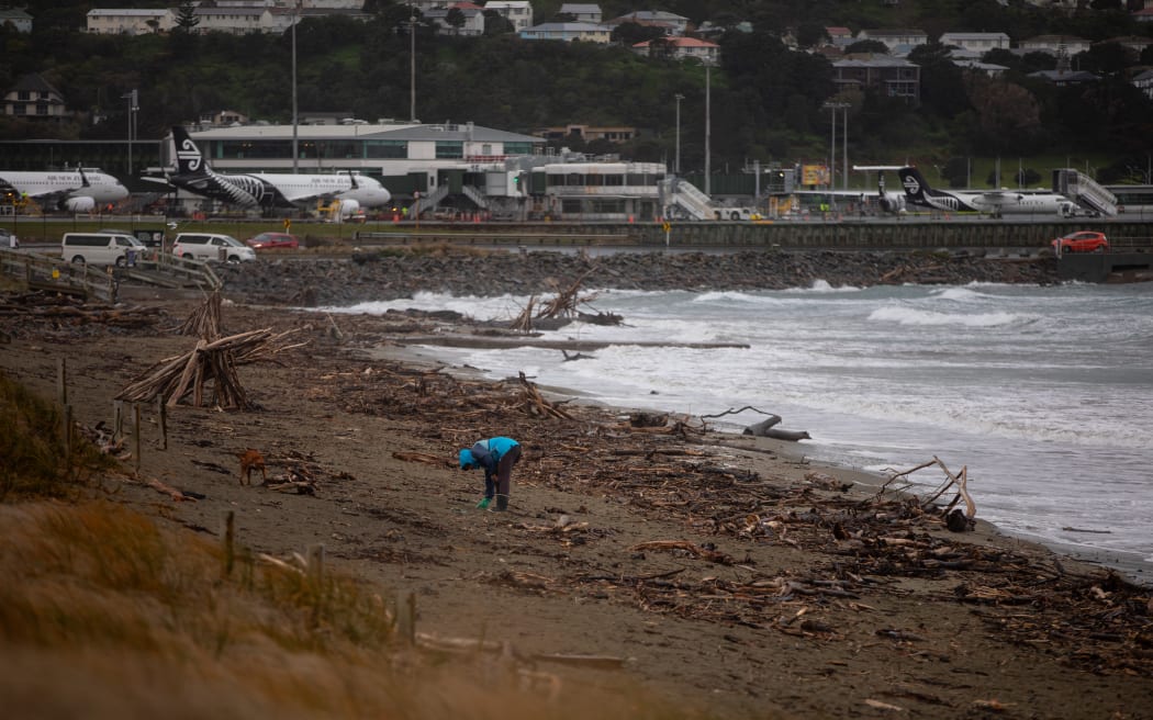 People on the beach at Lyall Bay, Wellington, 31 July 2025. Emergency officials warned the risk of tsumani surges was still very high following the 8.8 earthquake near Russia and people shouldn't go sightseeing at shorelines.