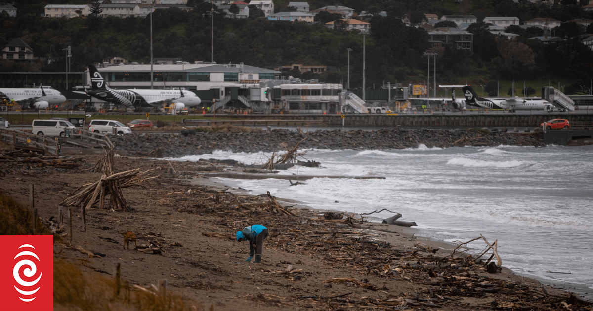 Water pollution warnings for Wellington, Lower Hutt