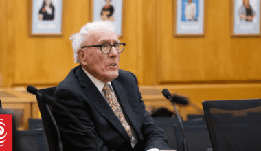 Too many laws passing without 'proper scrutiny', Geoffrey Palmer says