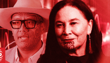 Te Pāti Māori tensions expected to loom as party AGM goes ahead