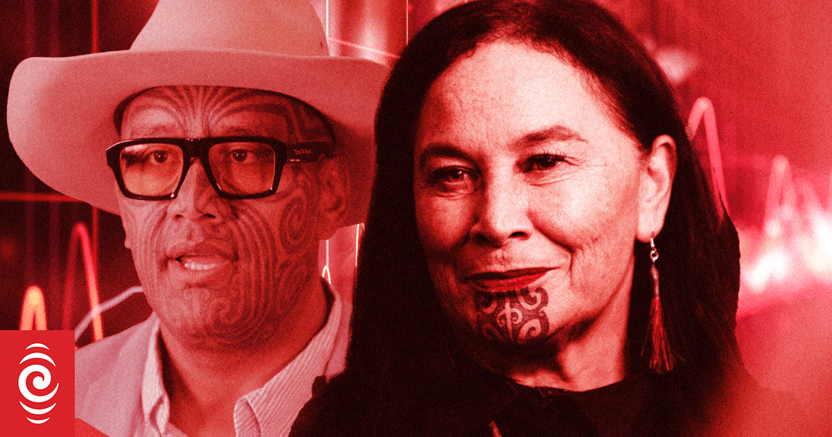 Te Pāti Māori tensions expected to loom as party AGM goes ahead