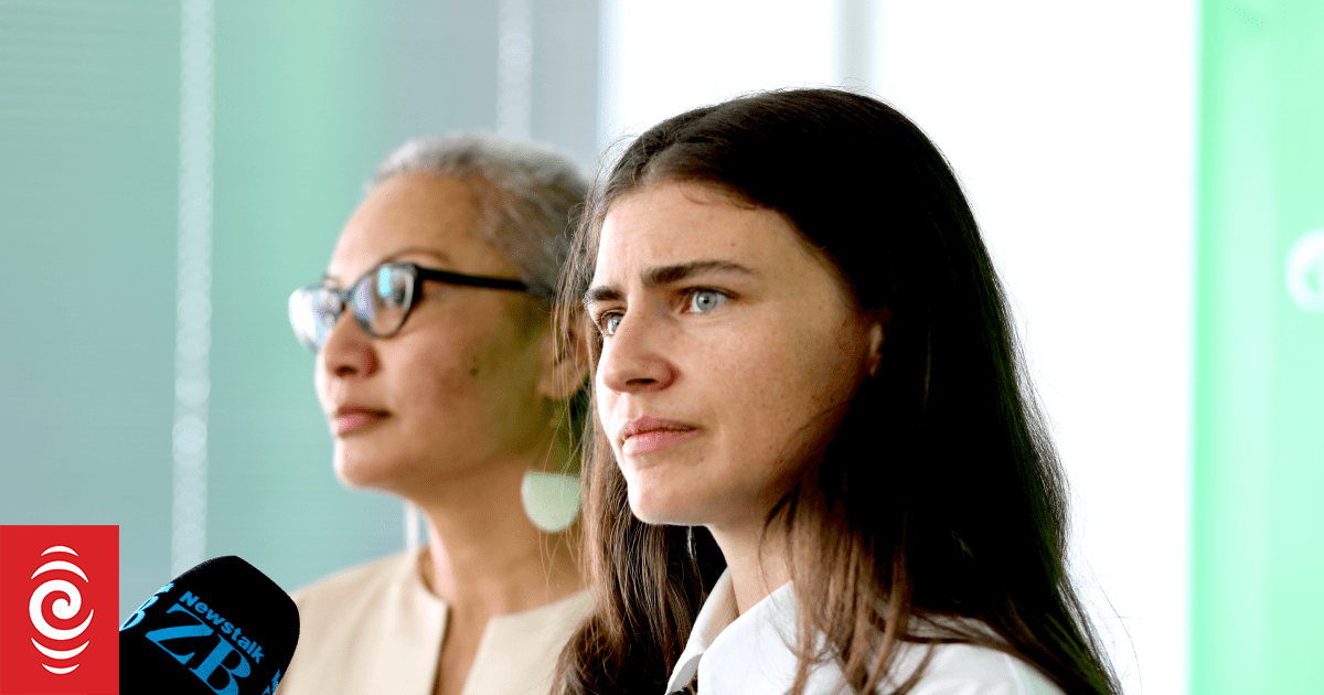 'Public good over corporate greed': Greens challenge Willis to debate them instead