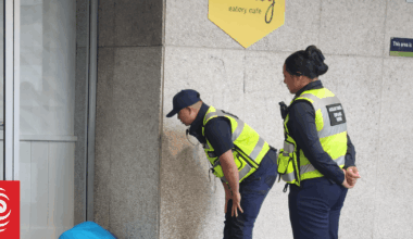 Homelessness in Auckland more than doubles to 940 people in year to September - survey