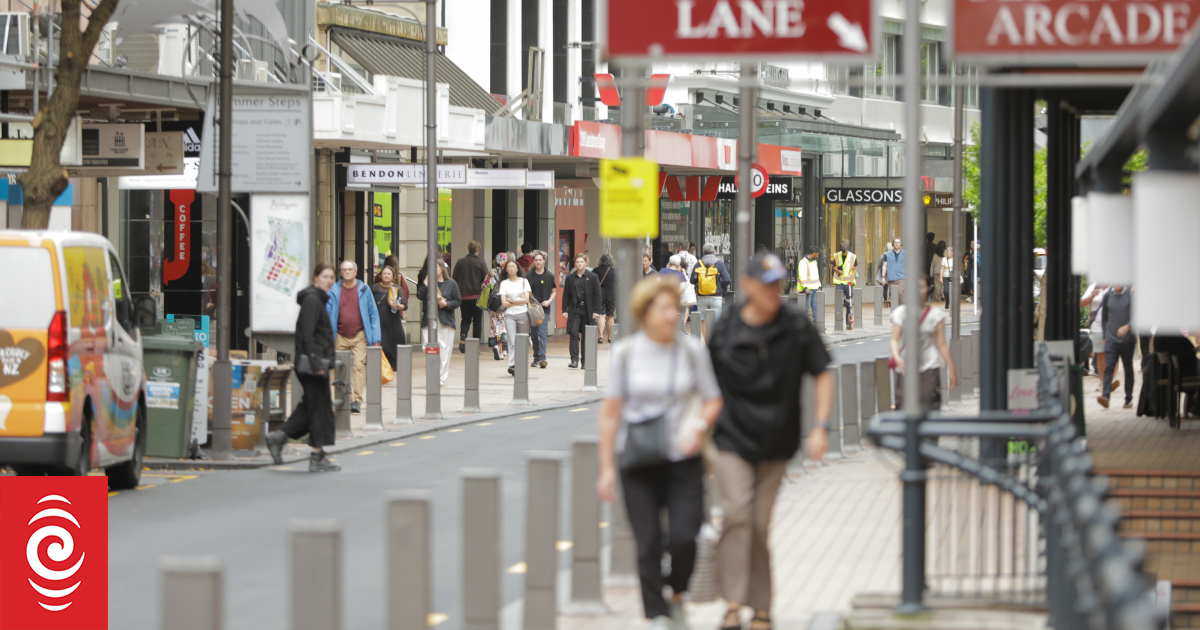 Wellington ratepayers to fork out an extra $40 on average after error