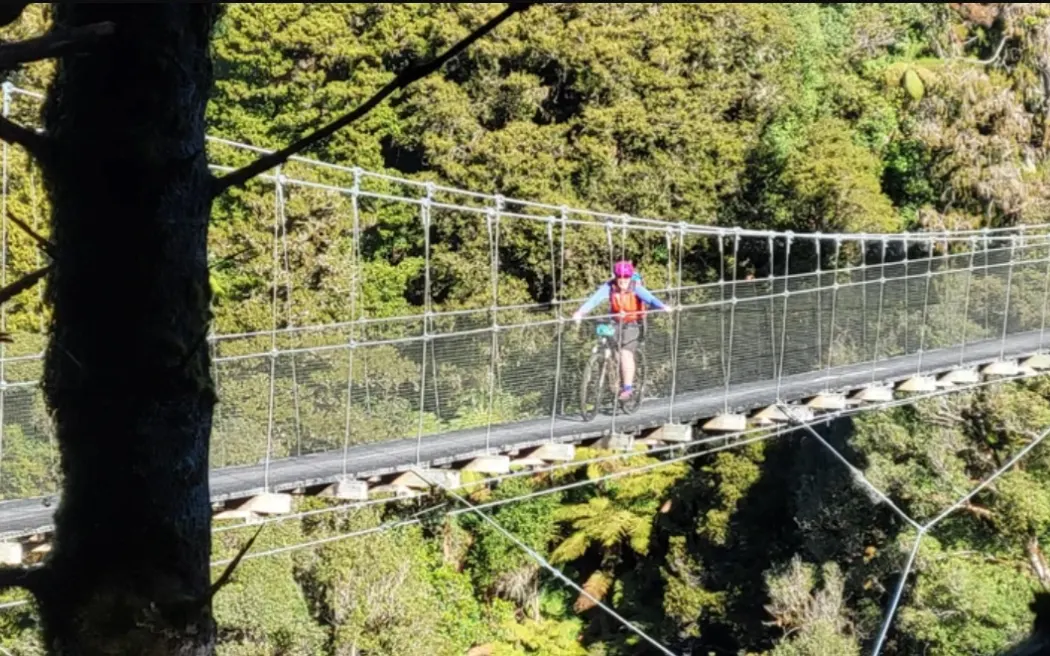 The 85km Timber Trail in central North Island goes through massive rimus and over long swing bridges in Pureora Forest Park.