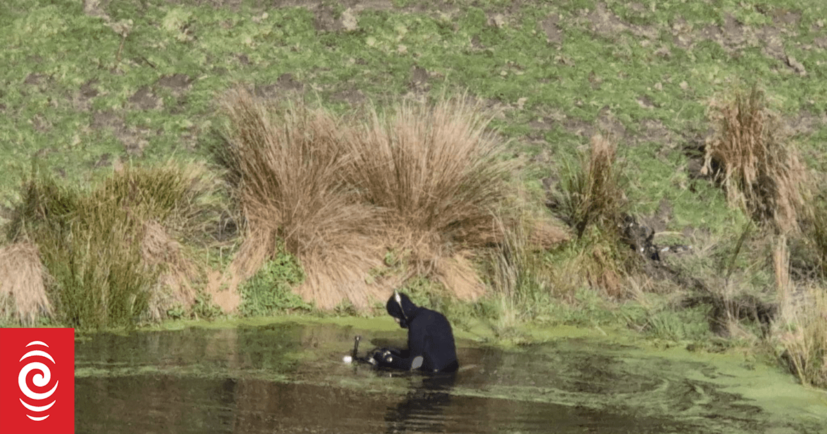 Hangaroa mother's pleas for help went unanswered before 5-year-old son found dead in pond
